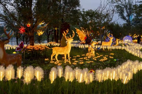 七夕相約揚州世博園，無人機焰火秀點亮浪漫夜空